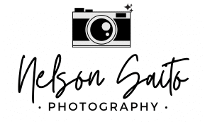 nelsonsaito.com